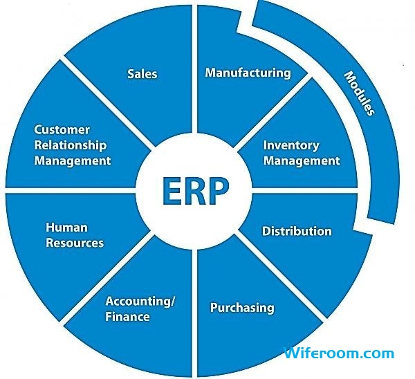 erp systems for retailers
